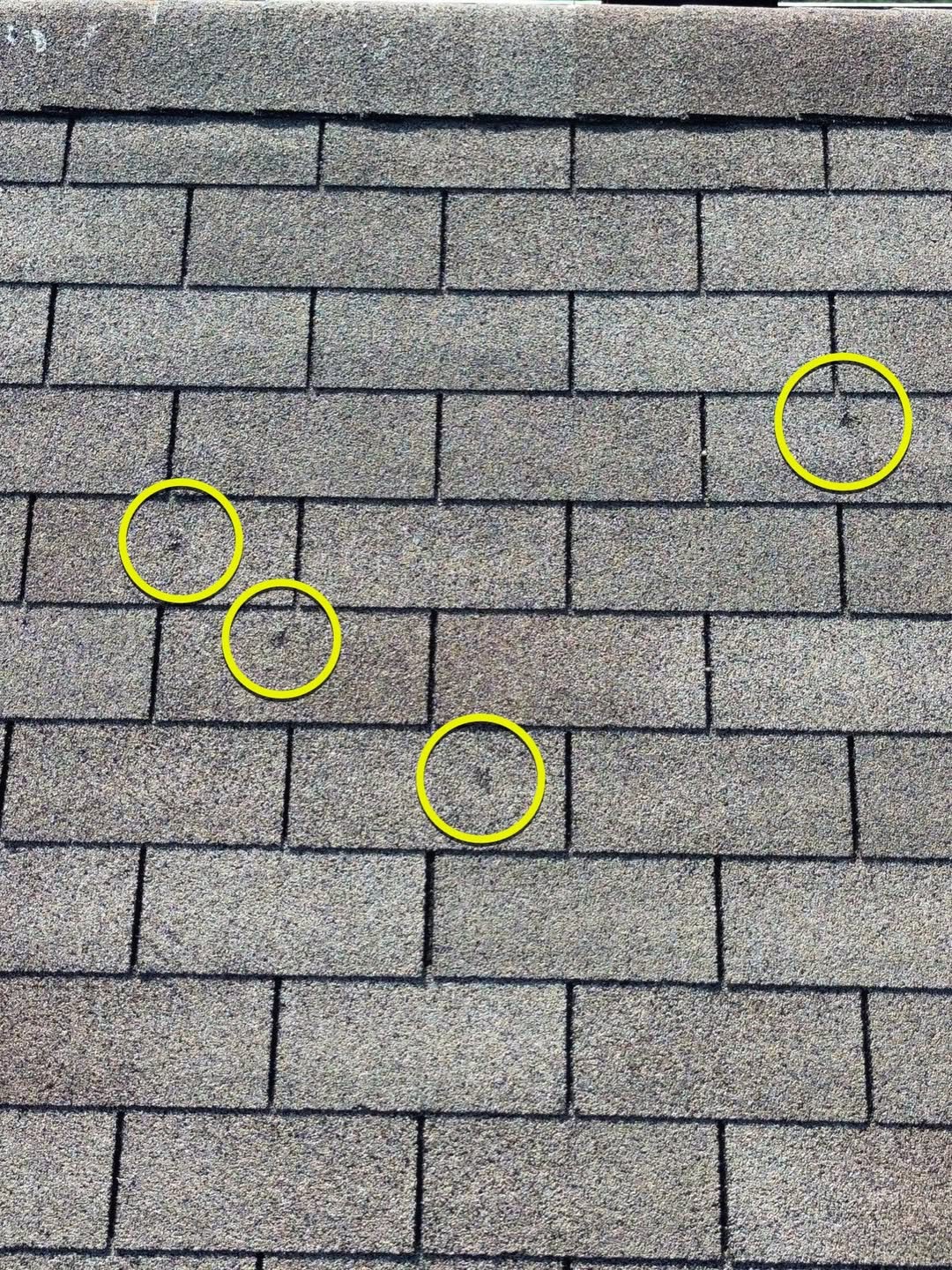 Hail damage roof assessment
