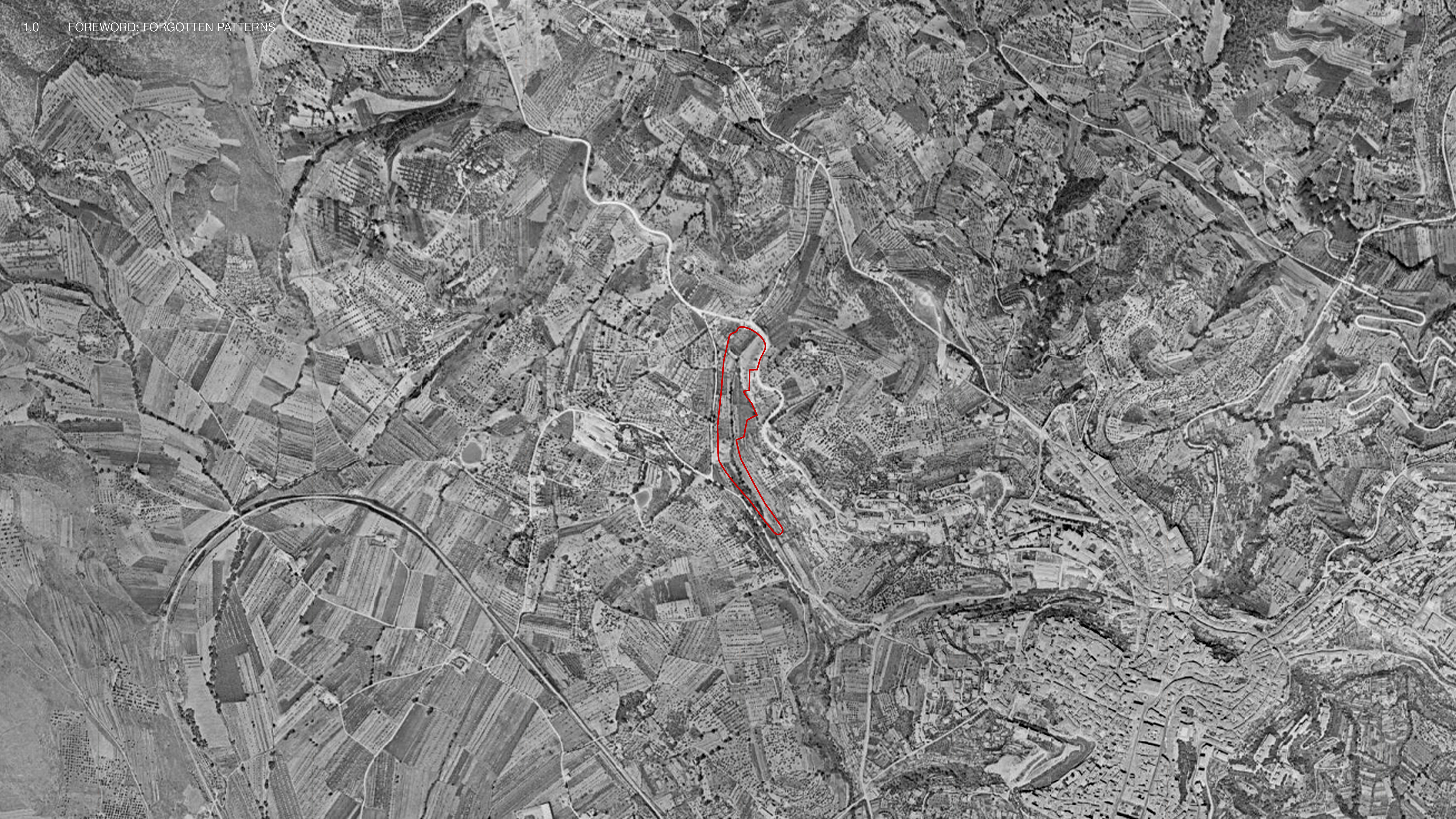 0TPNOmM8RoFoQD0jpXMMqTOGZvg