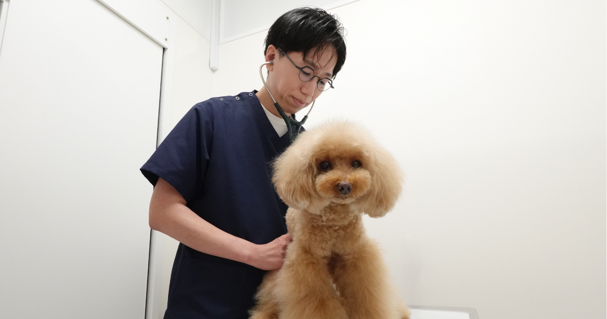 三軒茶屋動物病院Peco（猫専用待合室完備）の外観