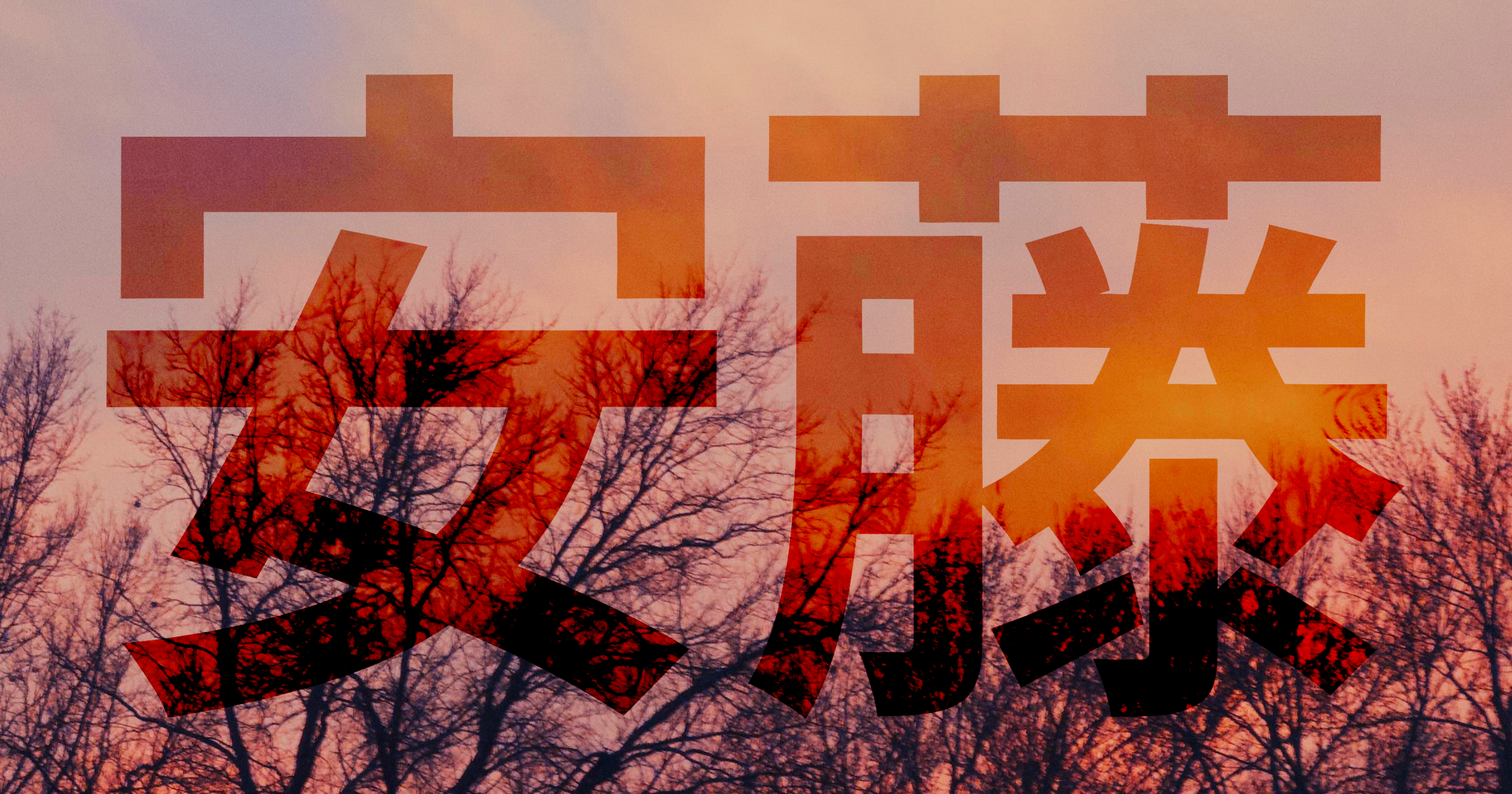 ando のロゴ