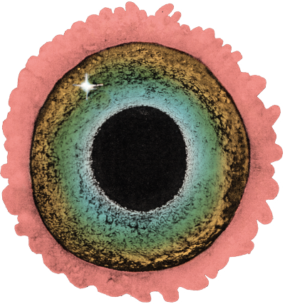Jittery animated image