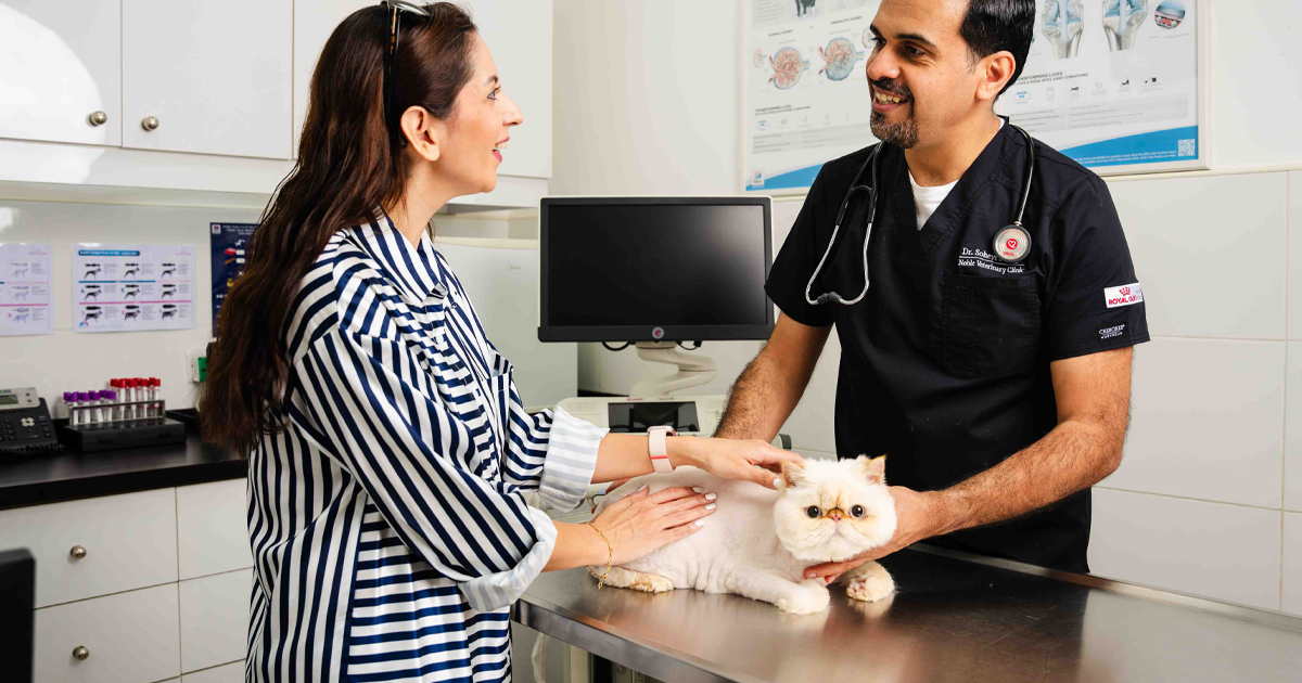 Image showcasing Pet Behavioural Therapy in Dubai: Addressing Behavioral Issues