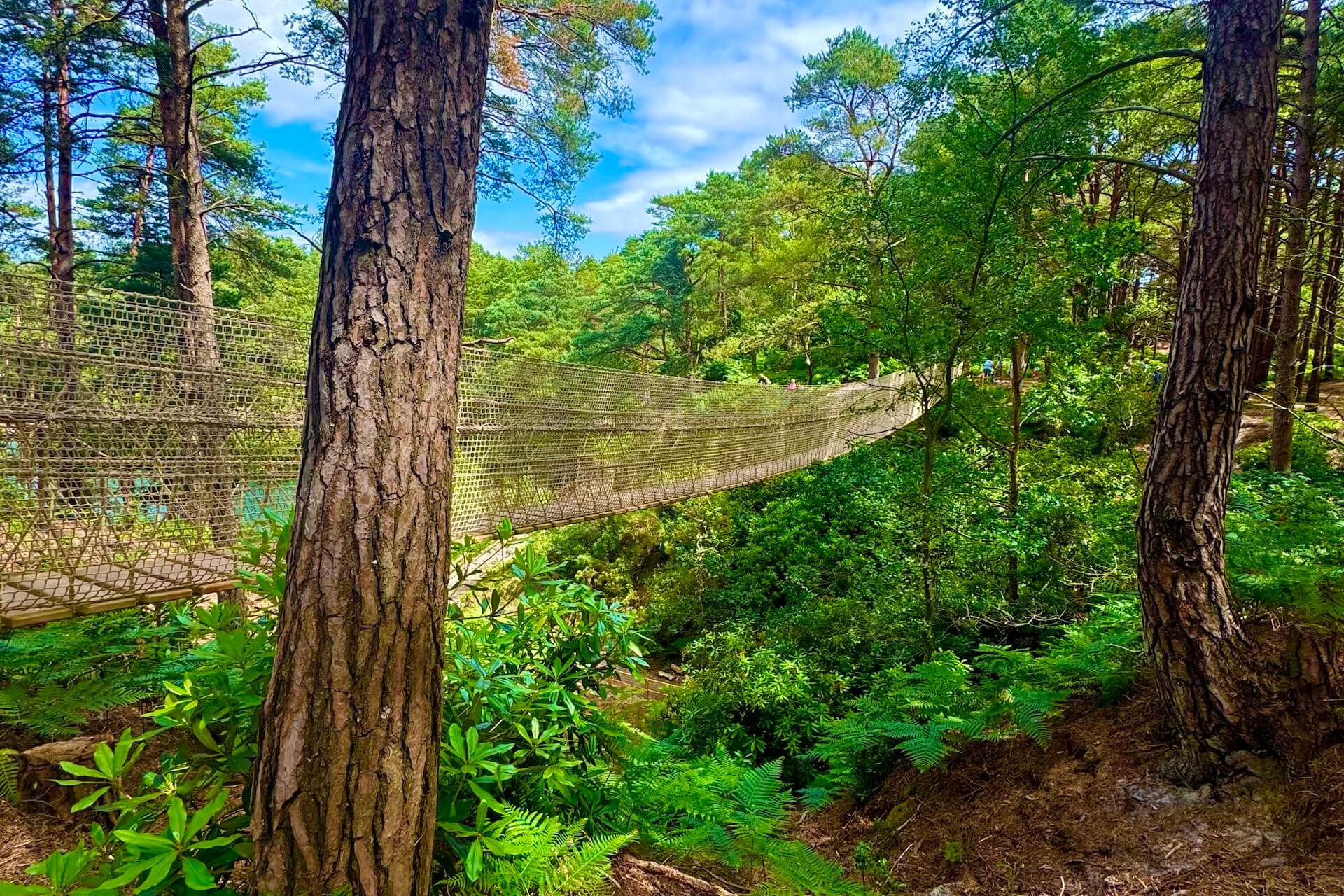 Moving Rope Bridge Rope Bridges Worldwide | Bespoke Adventure Structures
