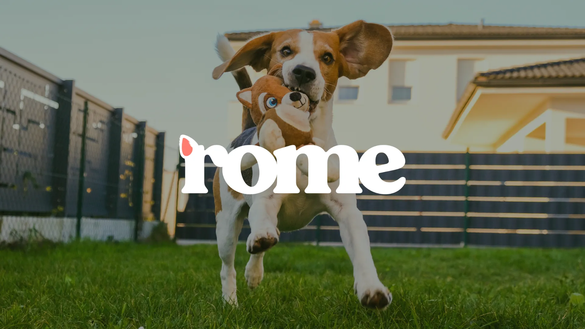 Max Rome Boston Private Dog Yards in Boston | Rome App