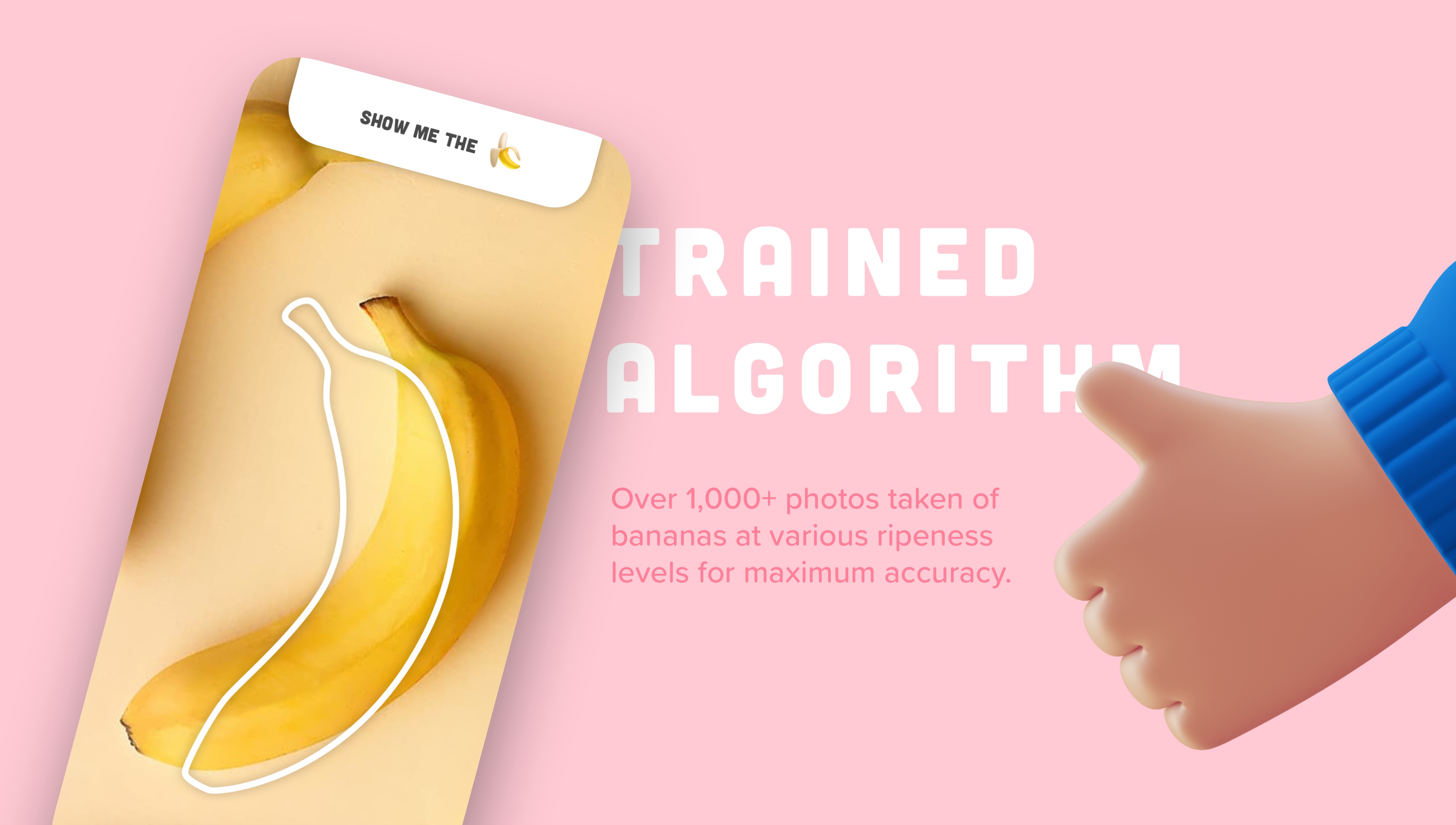 Nanner Phone Code Nanner Scanner