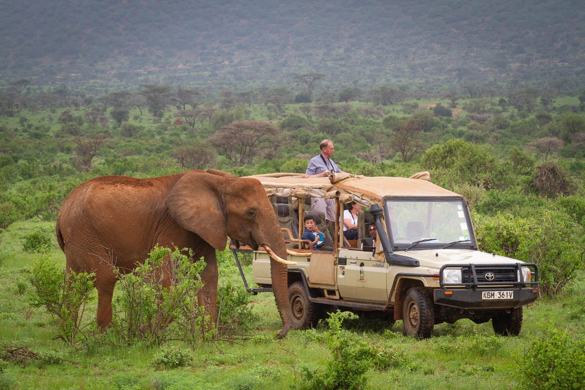 Game Drive