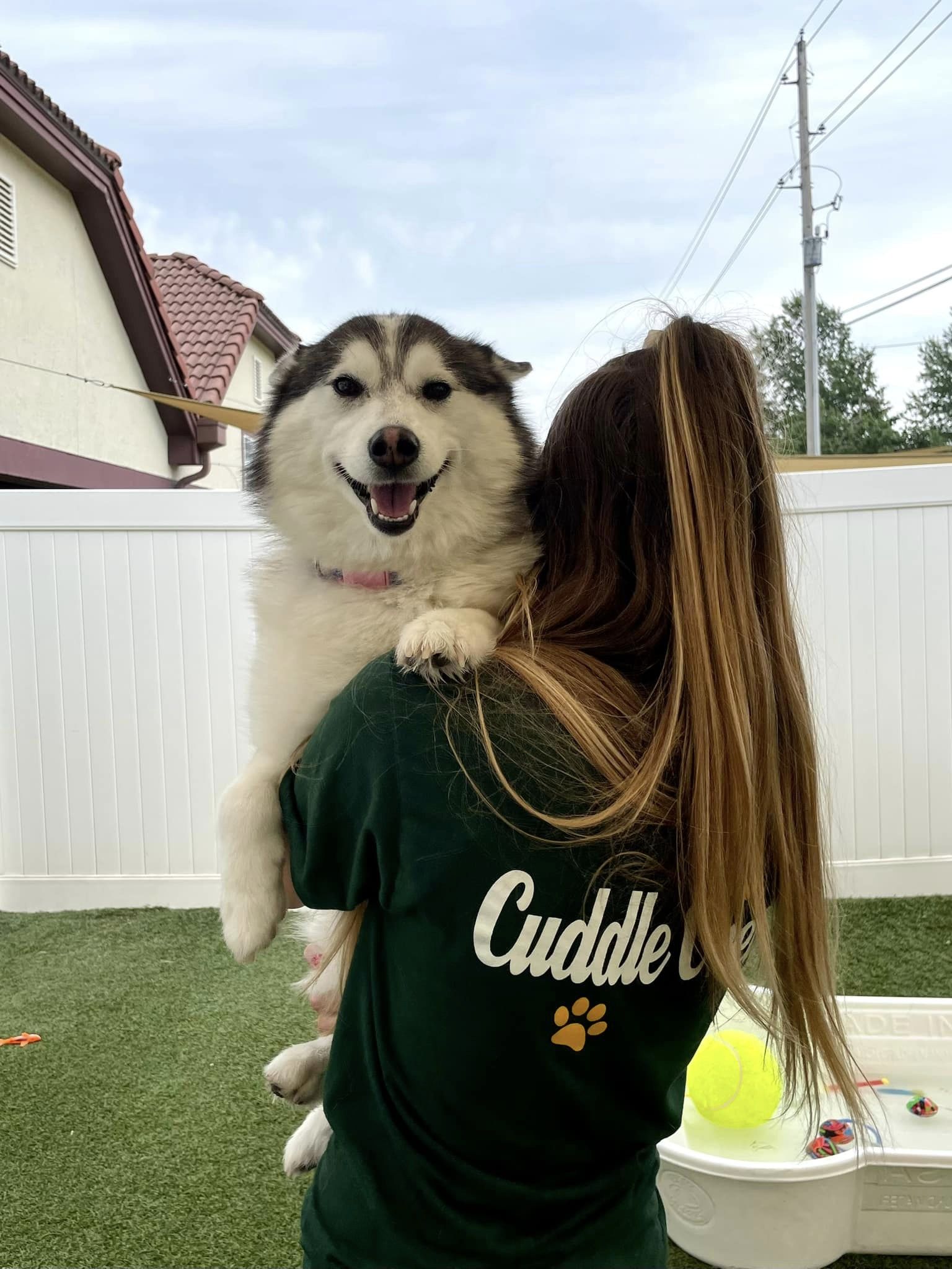 Careers Cuddle Up Pup