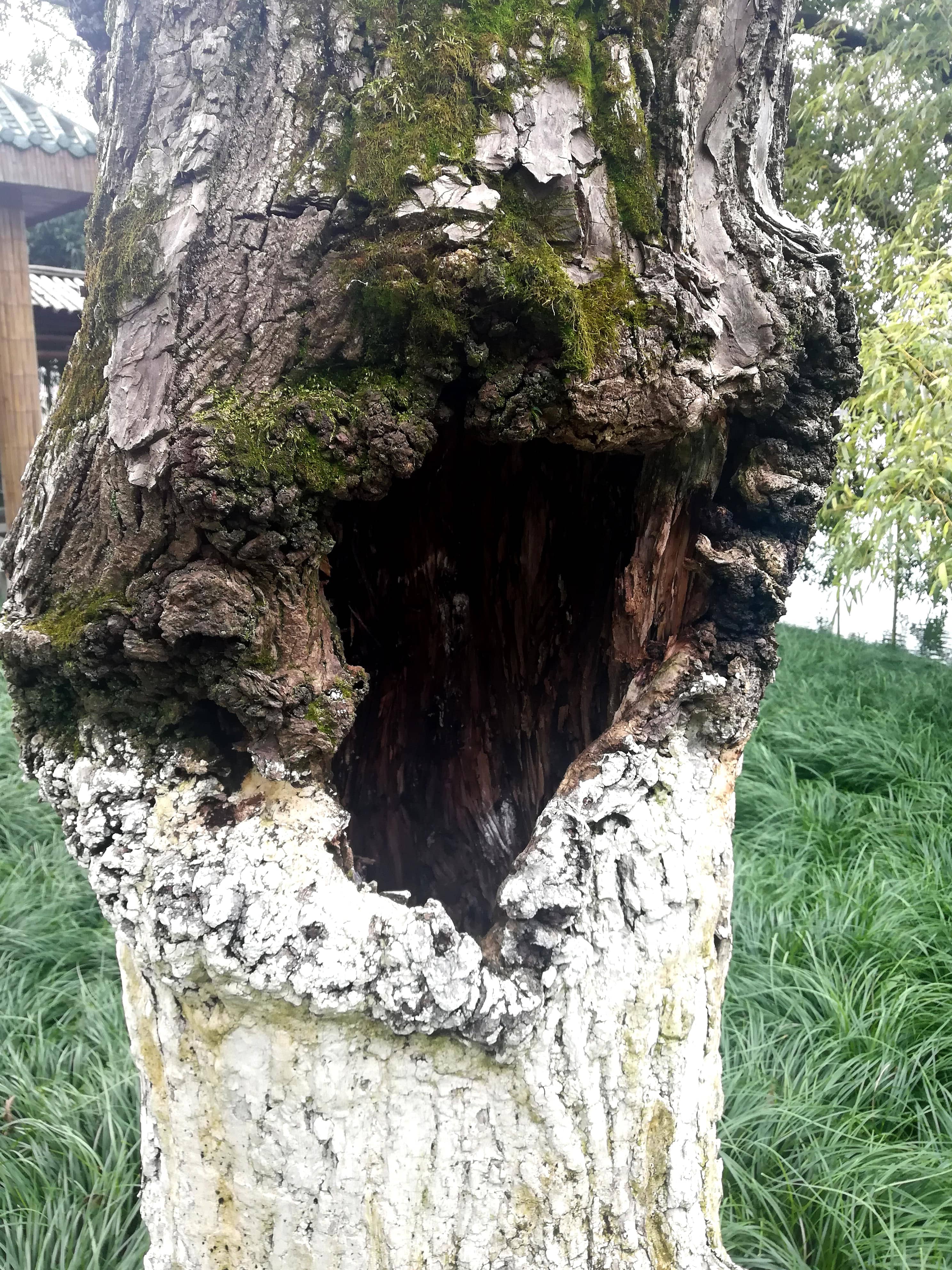 Moon Lake Park — 1