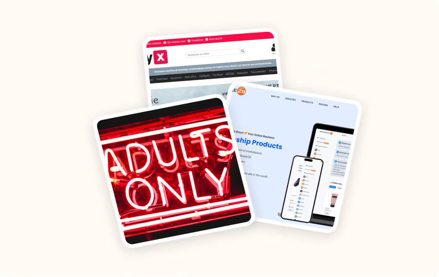 How to Dropship Sex Toys : Profitable Step-by-Step Guide