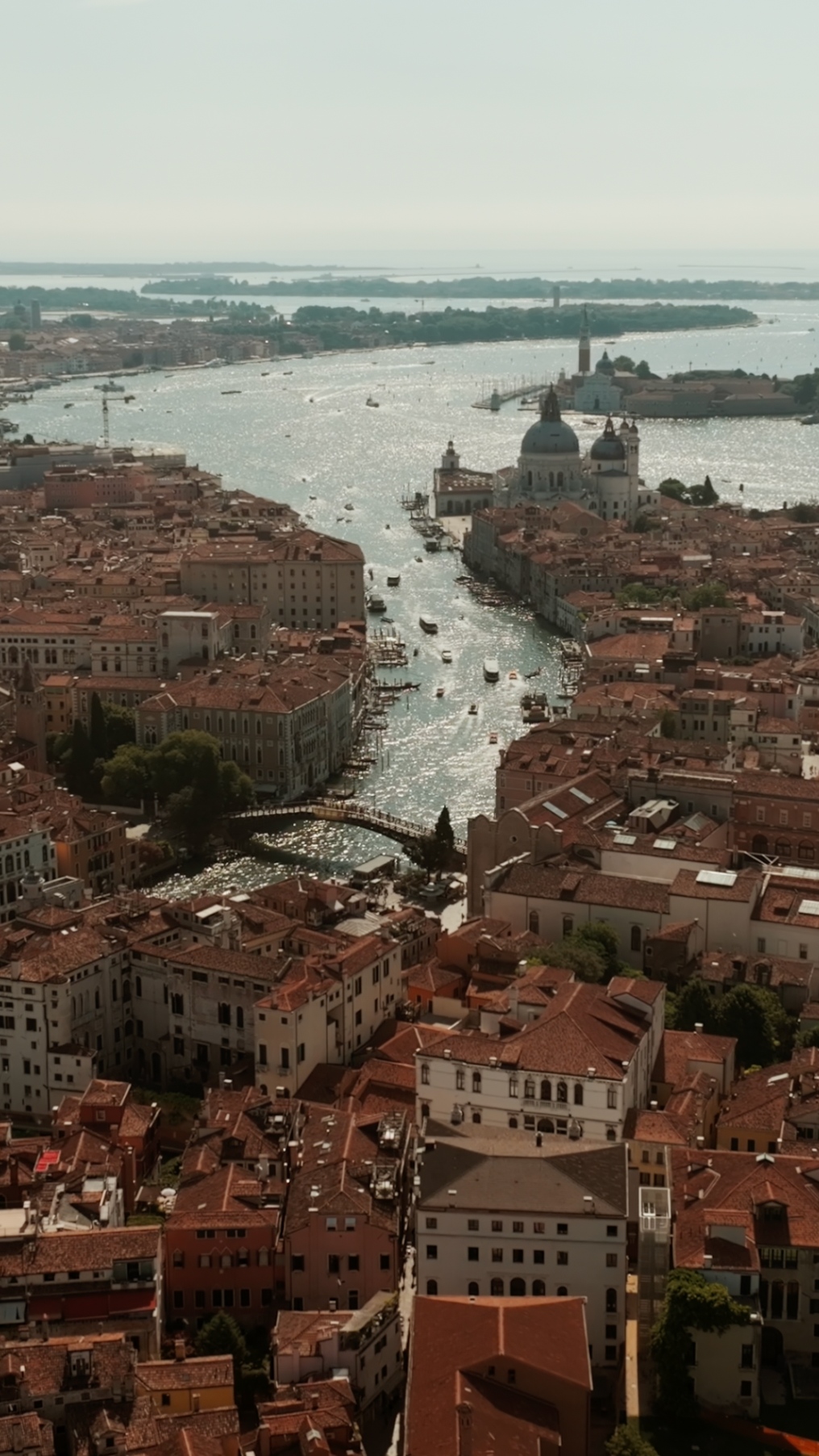 Venice film preview