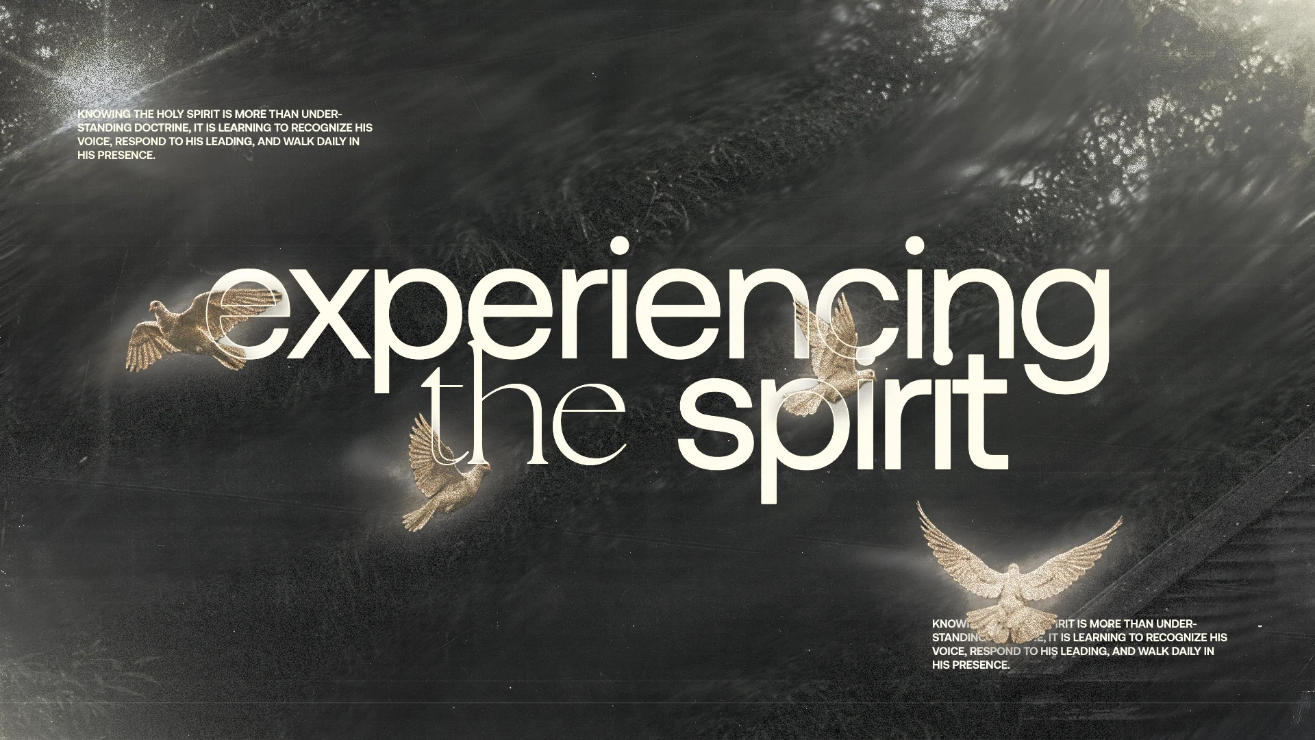 Experiencing the Spirit — series title