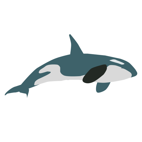 Orca