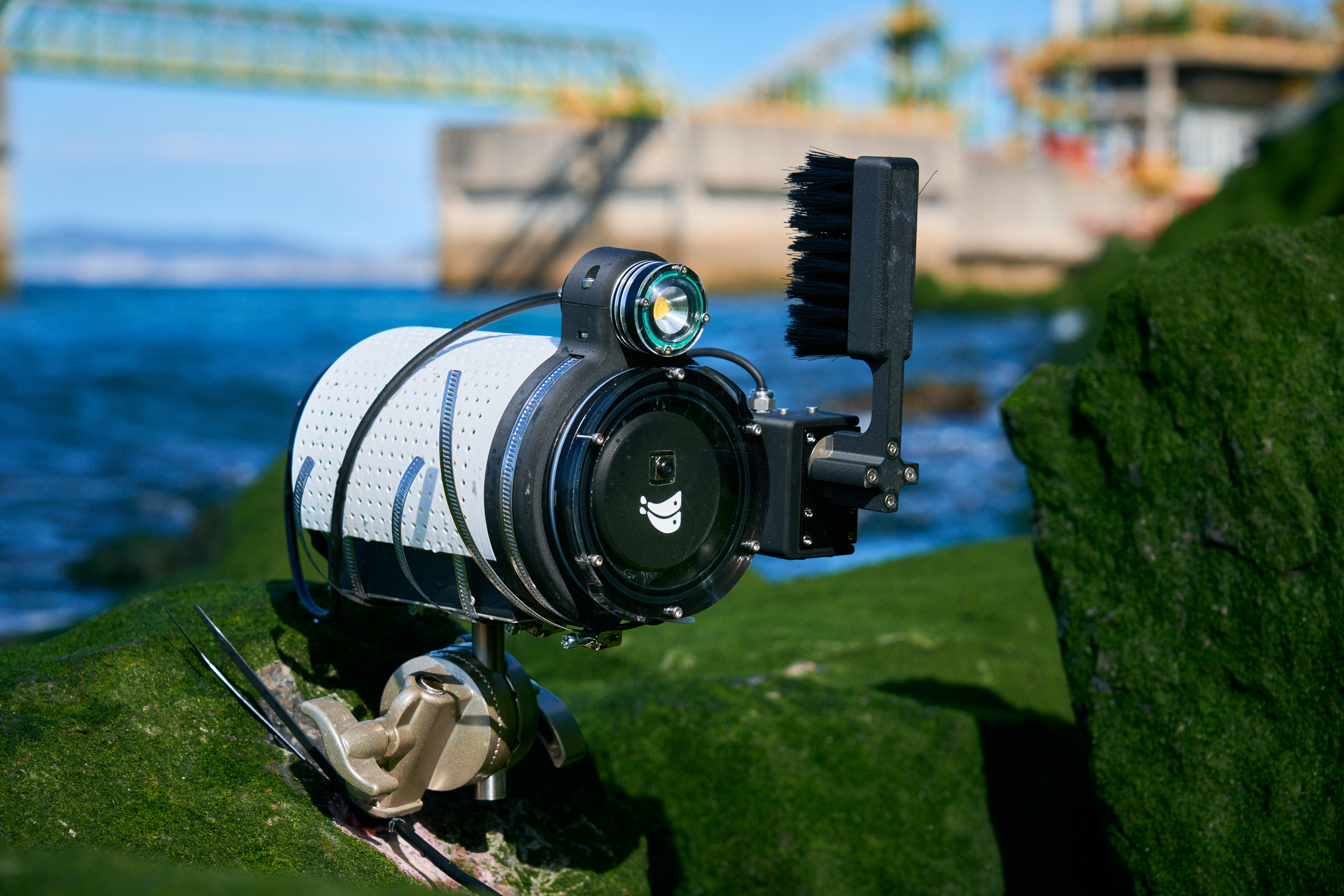 Anemo Robotics | AI-Powered Marine Monitoring