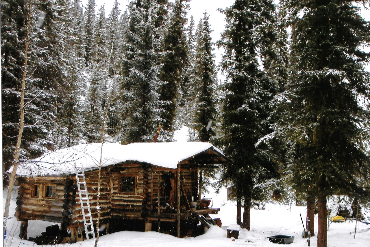 Chris's log cabin among snow-covered spruce in Alaska