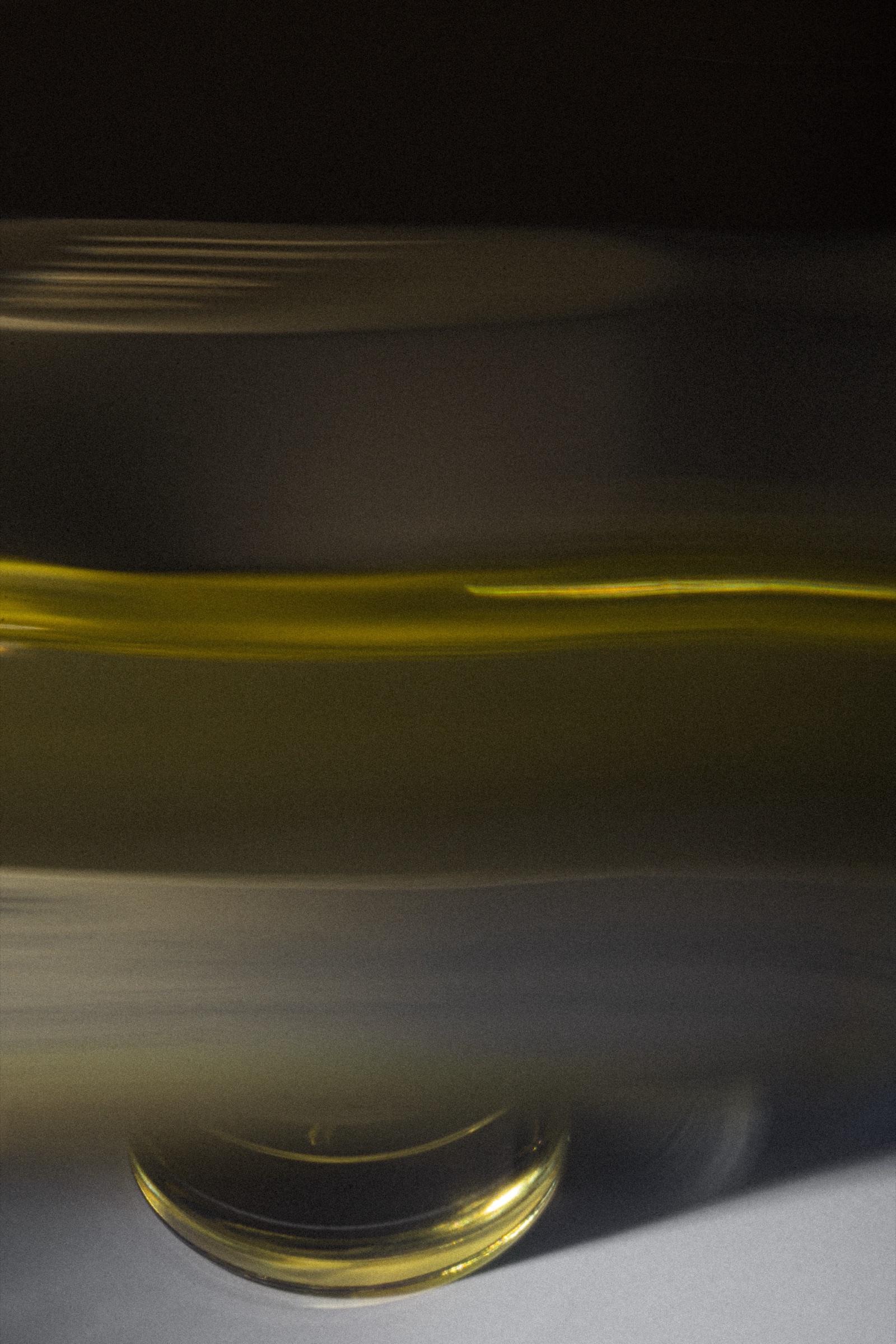 Study 02 · Blur · 2