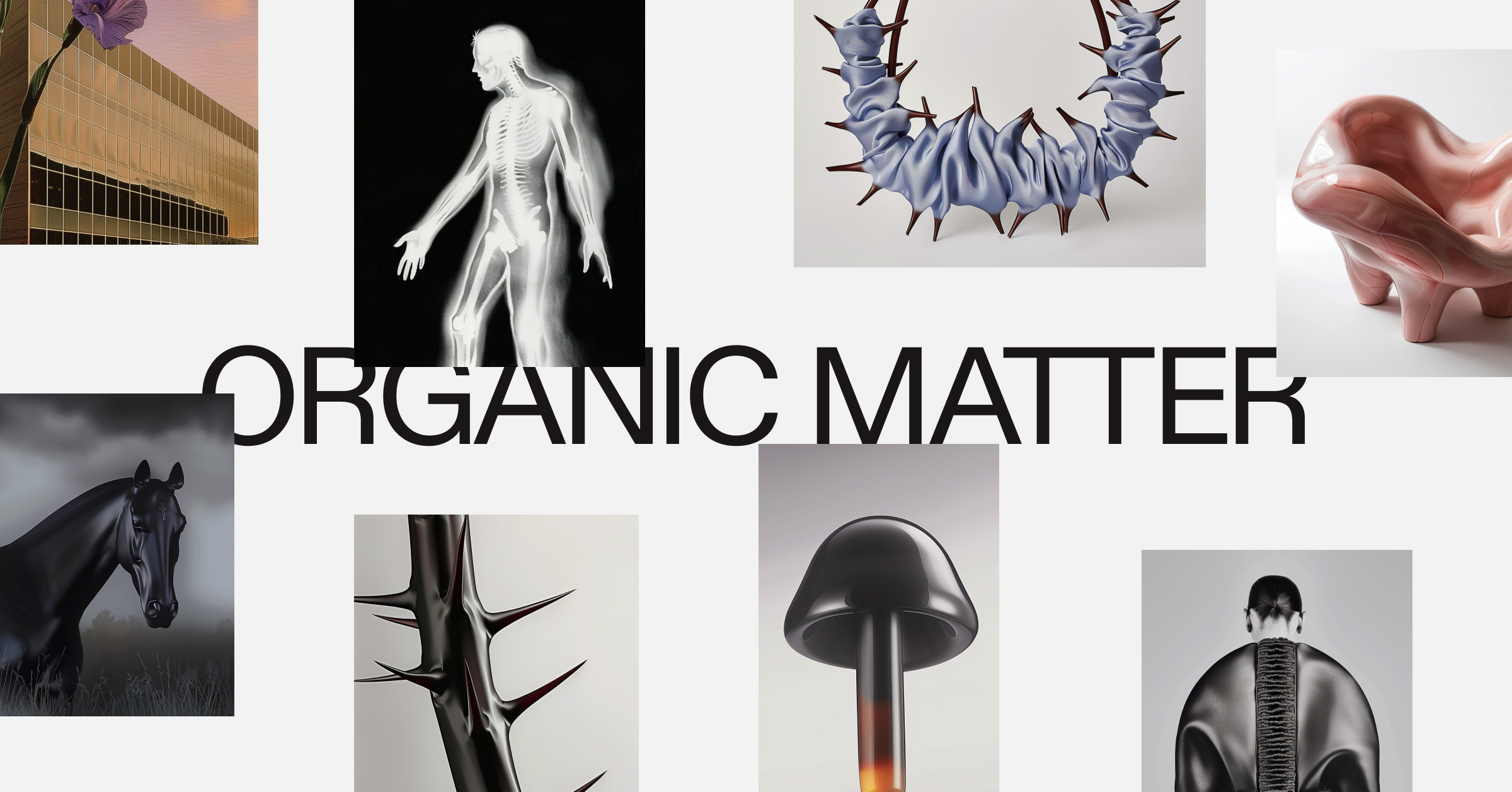 Alex Naghavi — Organic Matter