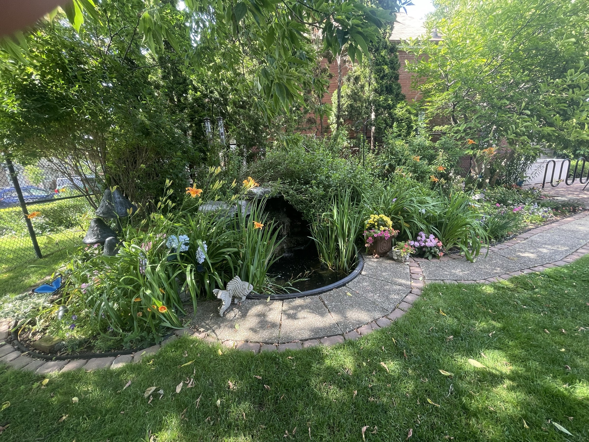 Image 40