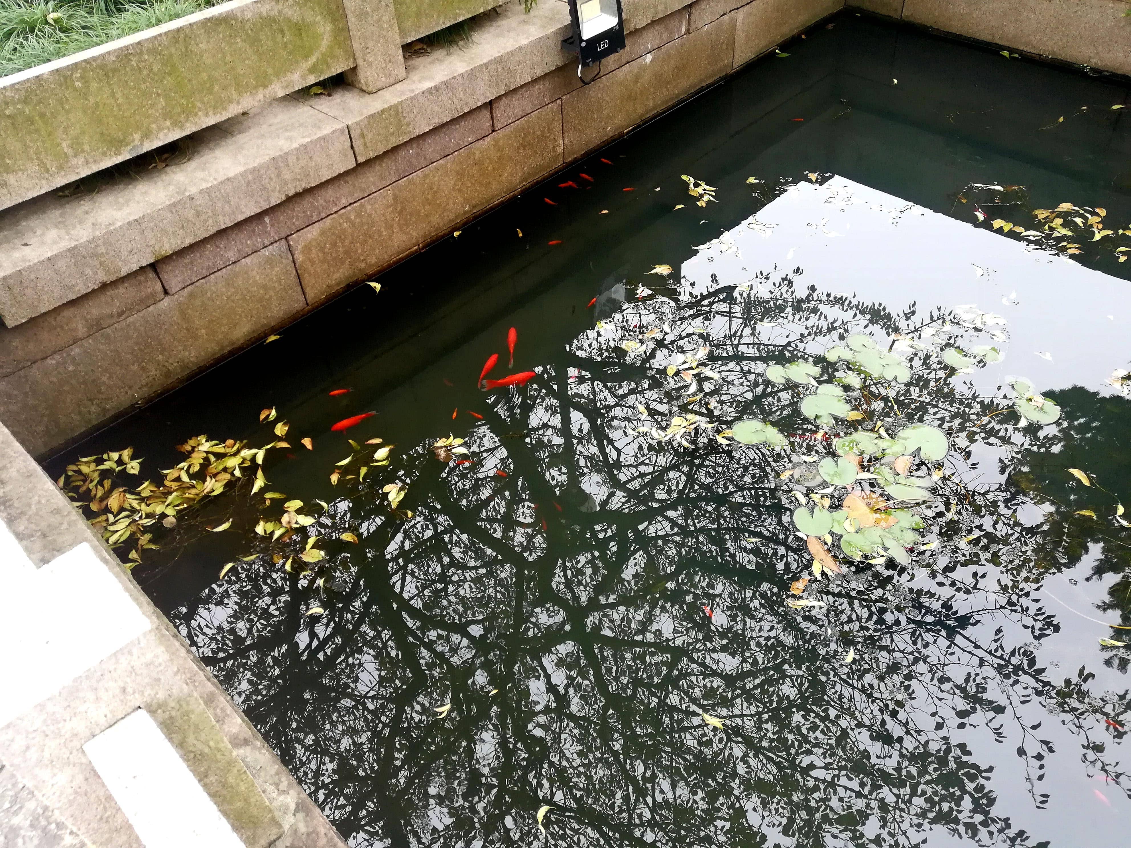 Moon Lake Park — 4
