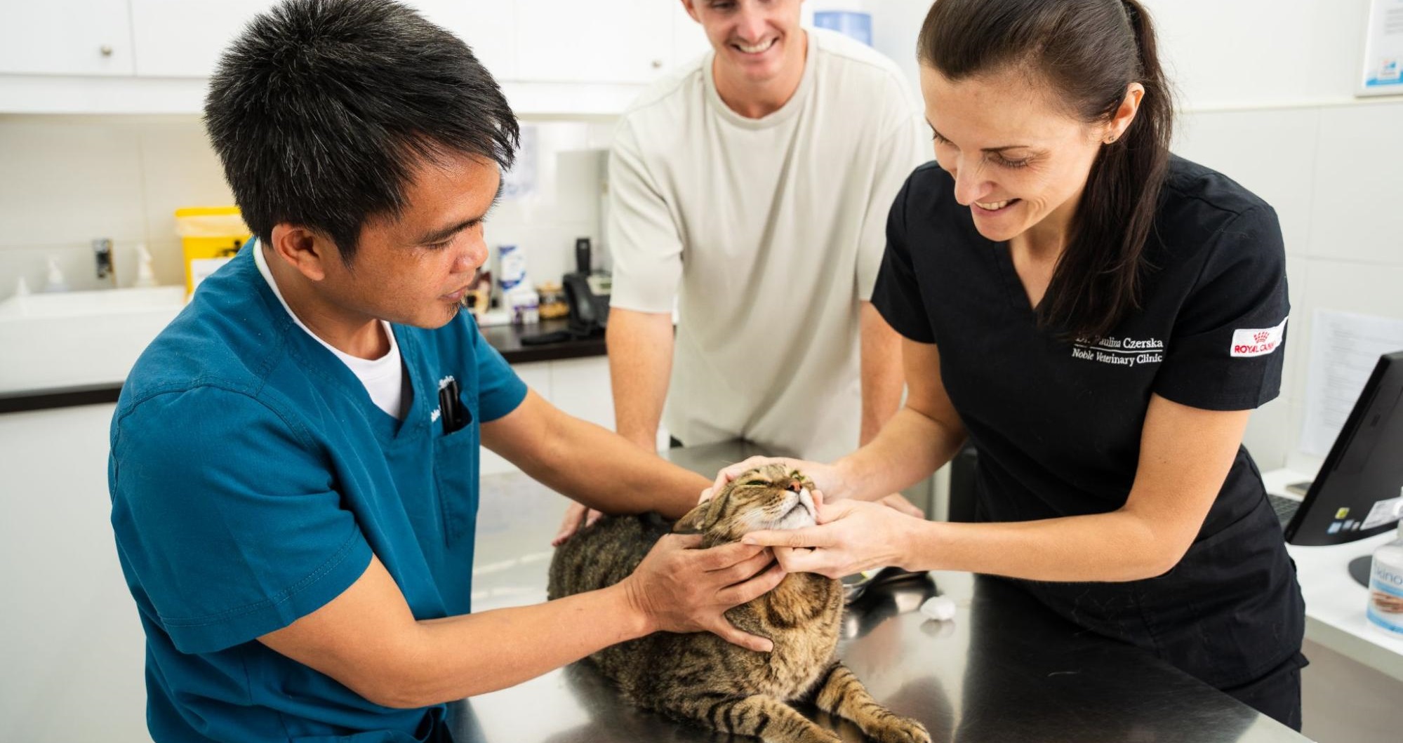 Cat Vaccinations in Dubai Feline Vaccines at Noble Vet Clinics