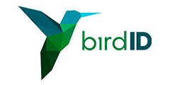 Bird ID logo