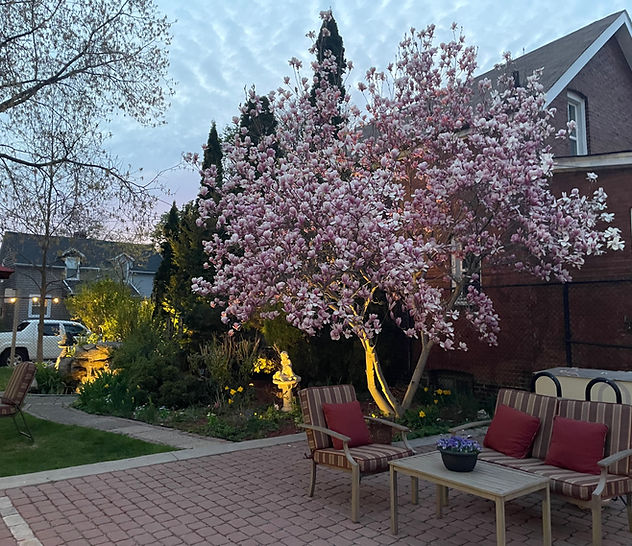 Image 15