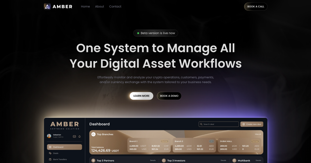 Amber Solutions - your tool to success