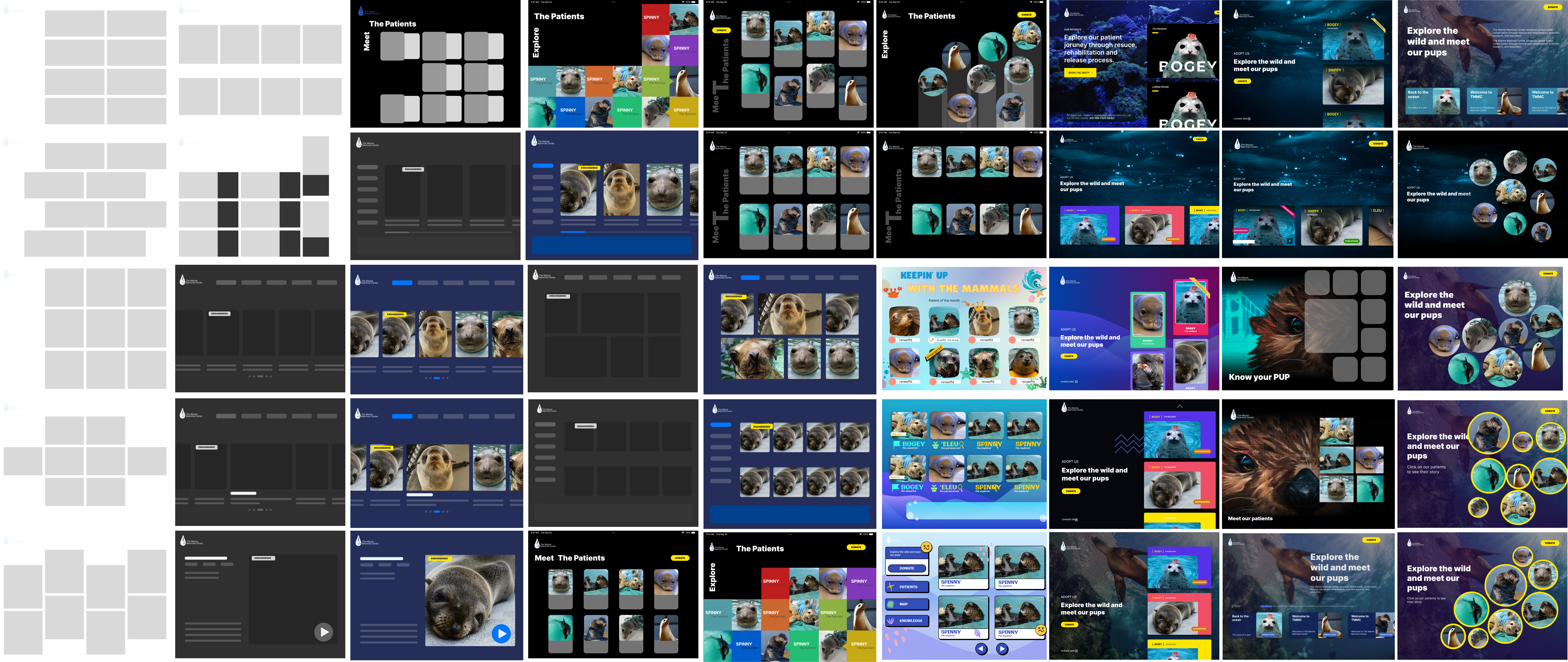 Iterating on hierarchy and visual density.