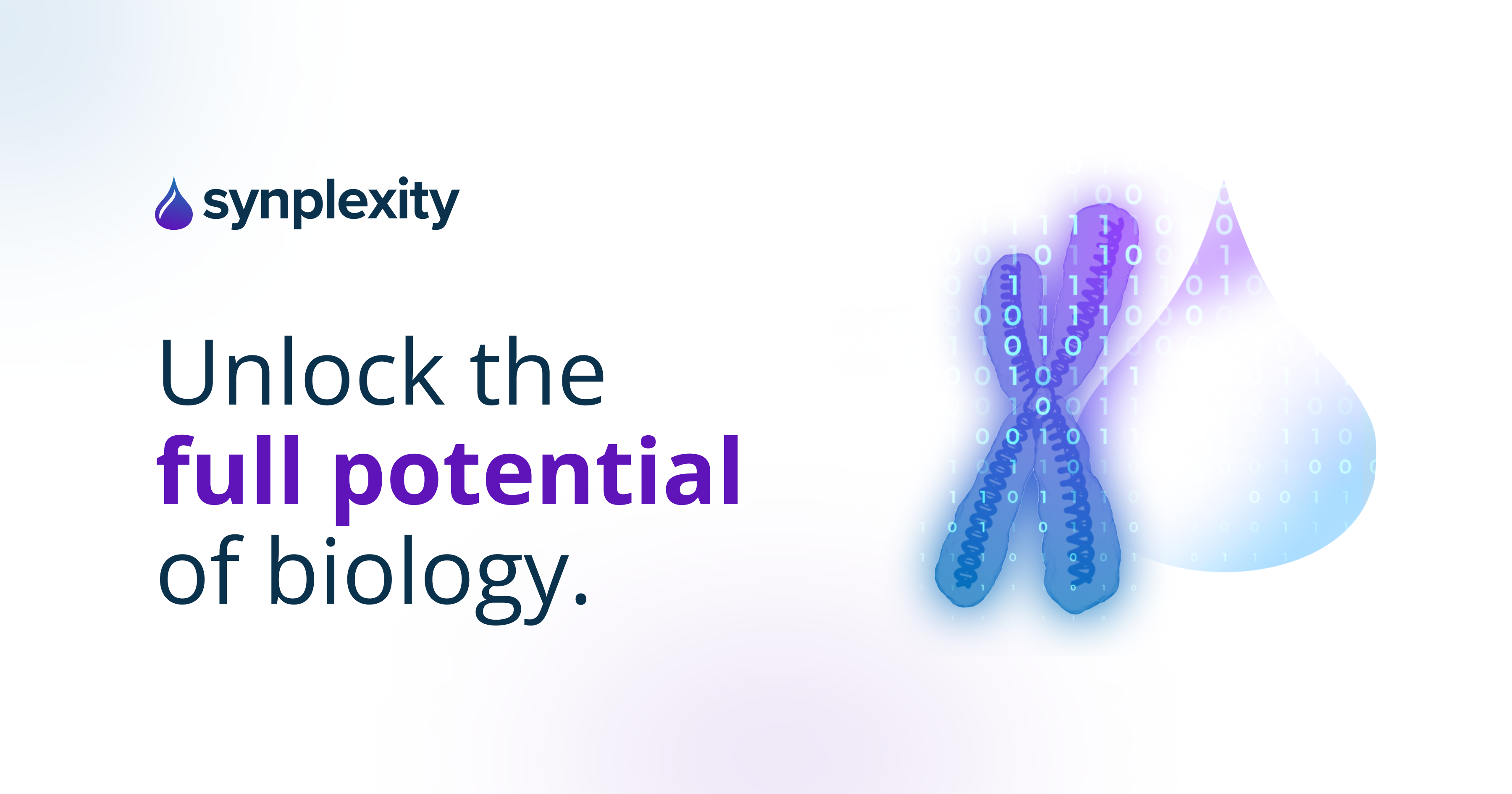 SynPlexity | Scaling Innovation