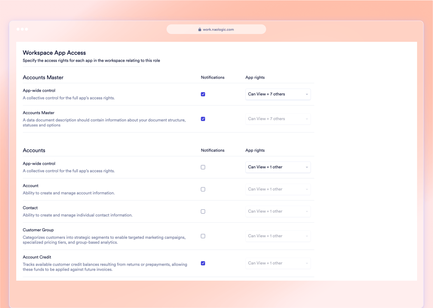 Naologic CRUD role permission matrix with module-level controls