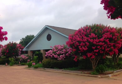 Country Care Manor - Skilled Nursing, Rehabilitation | San Antonio