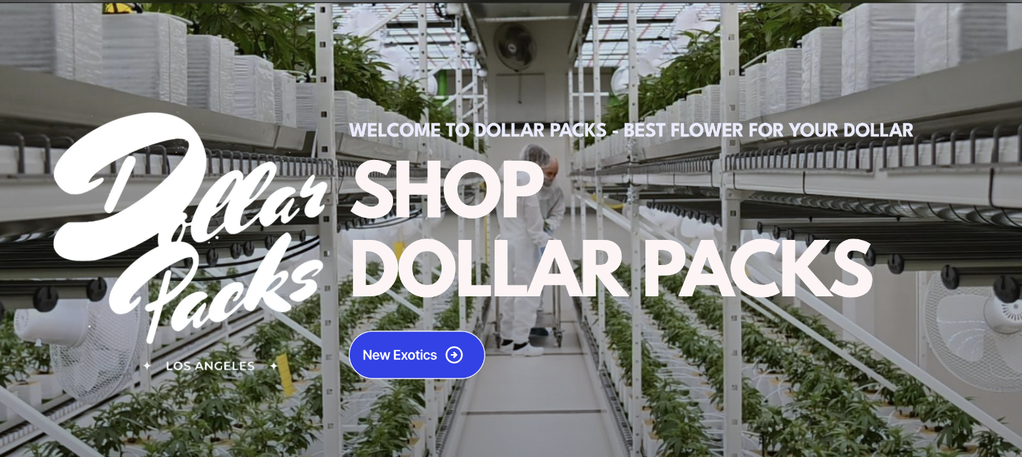 #CB02 - Whole Melt Wax | Dollar Packs