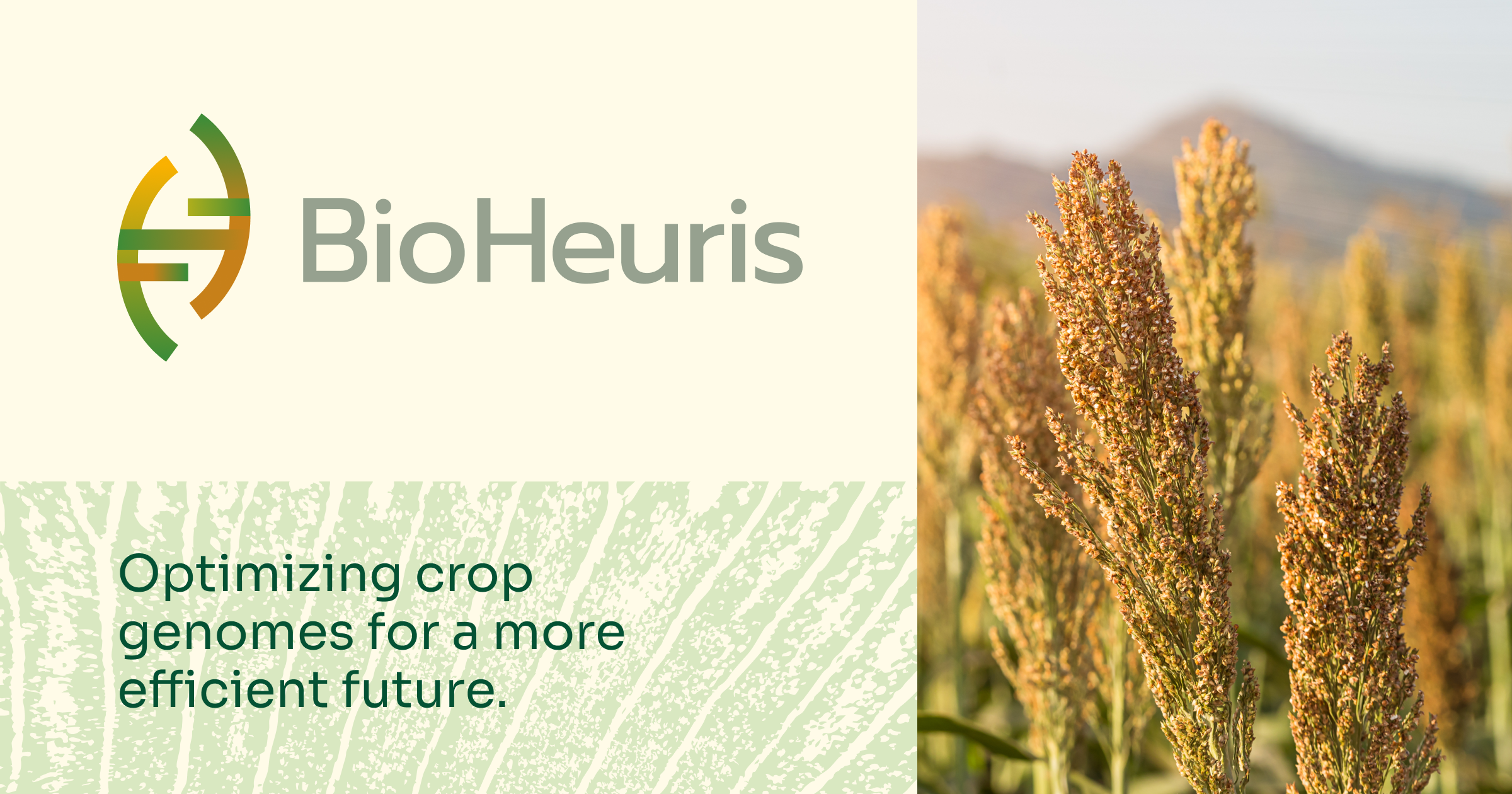 Bioheuris website homepage built with Framer