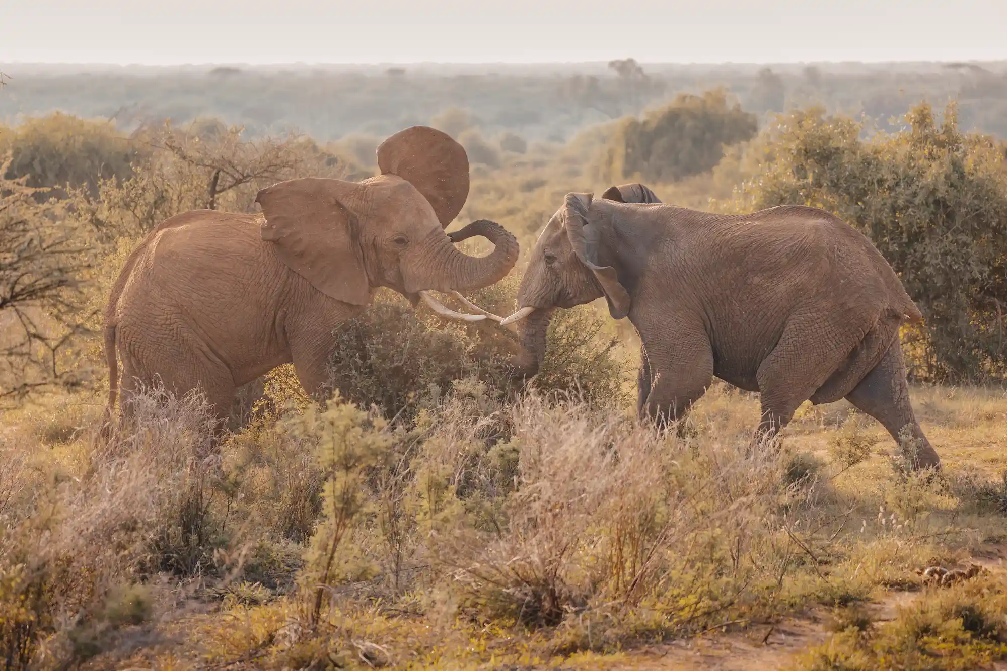 Samburu National Park