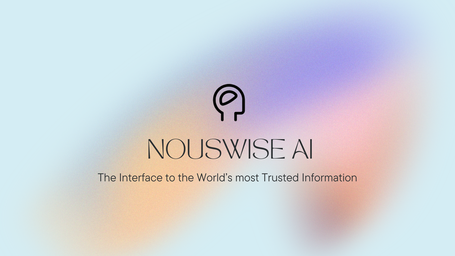 Nouswise logo