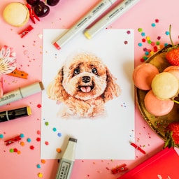 Graphic Designer · Client Work