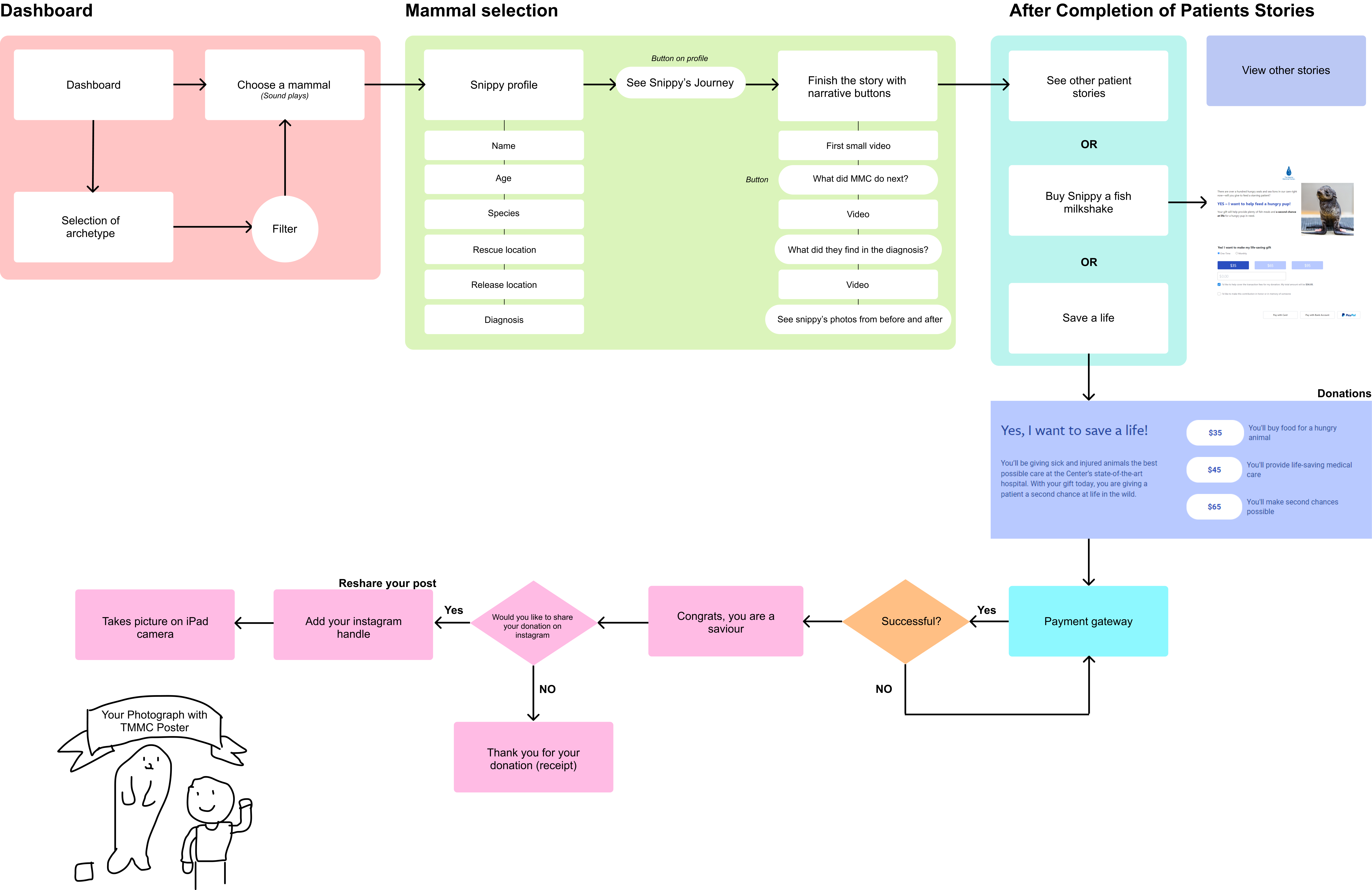 Mapping the visitor journey, rescue → release.