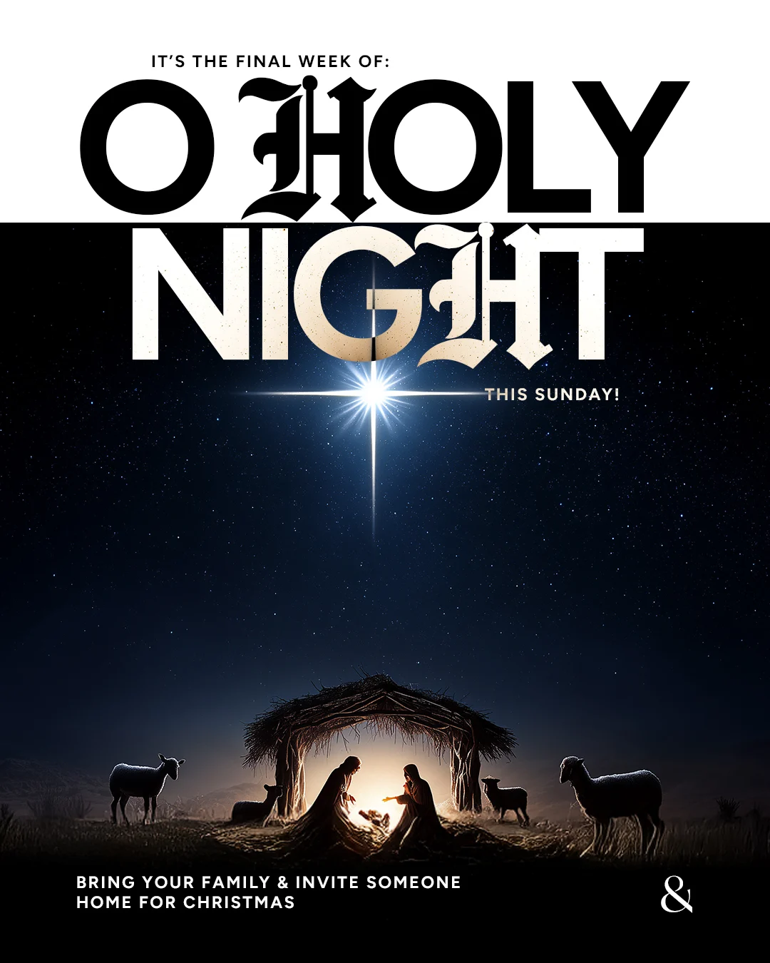 O Holy Night — final week