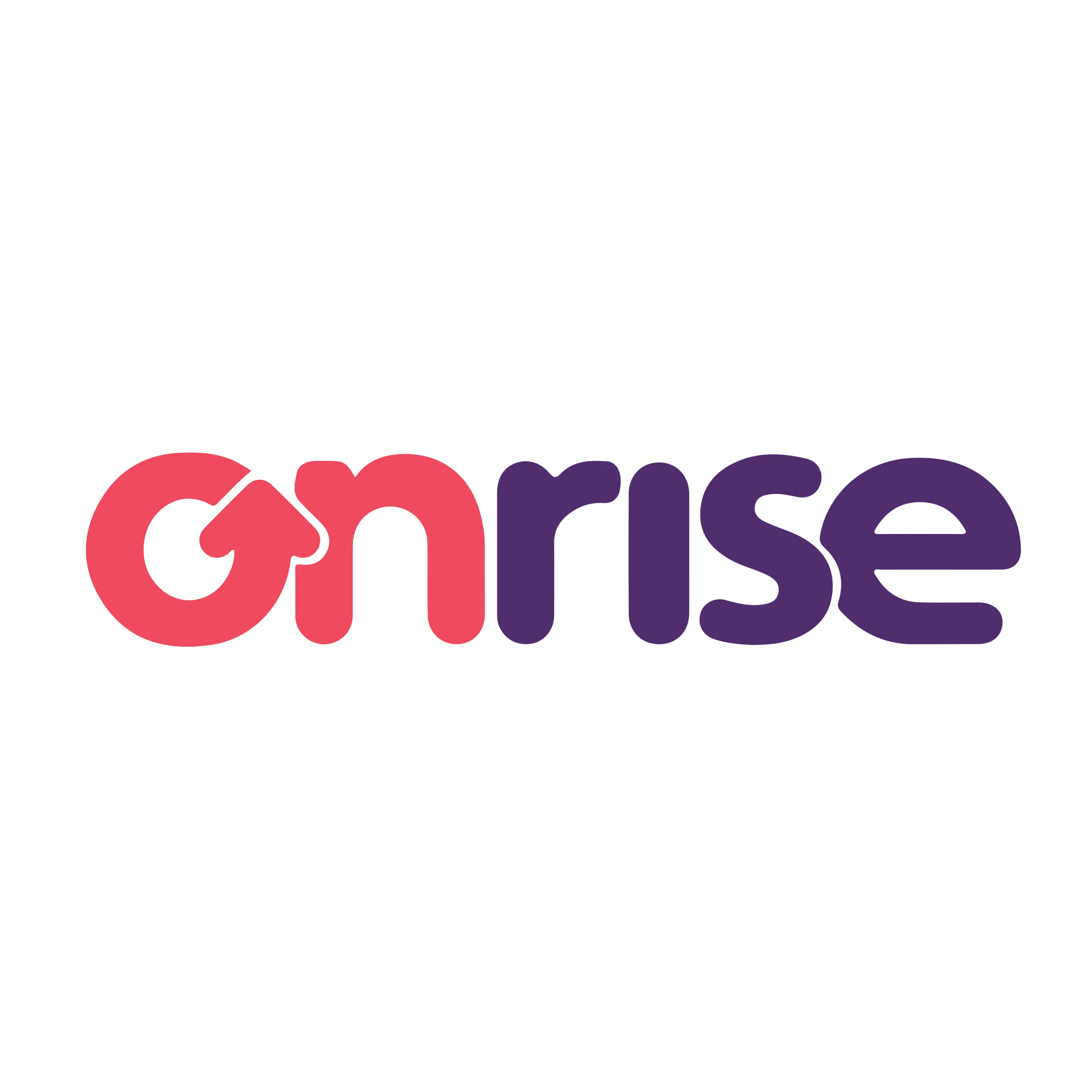 OnRise AI | Database Reactivation