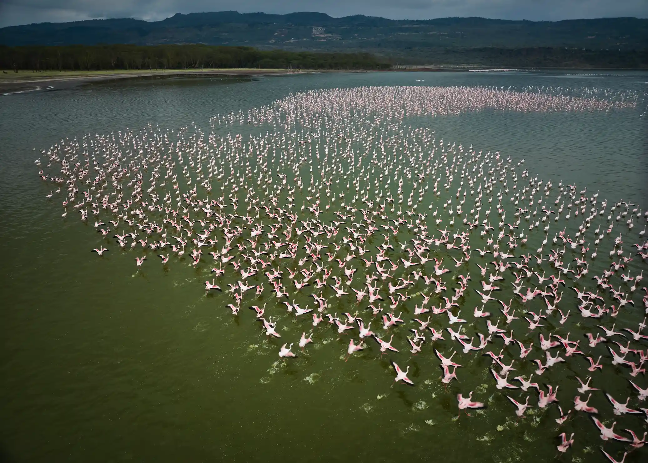 Lake Elementaita