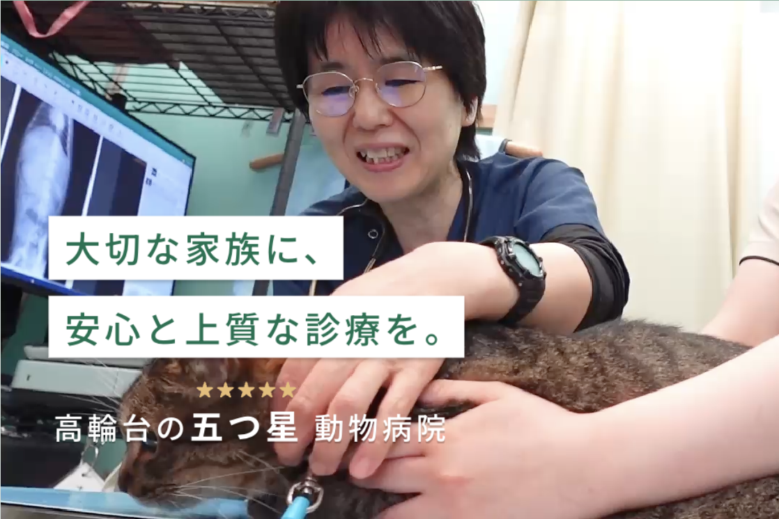動物病院Peco 高輪台の外観