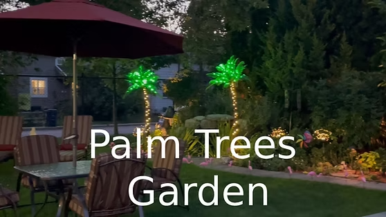 palm trees