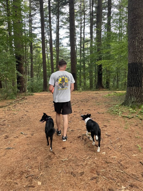 puppy training worcester