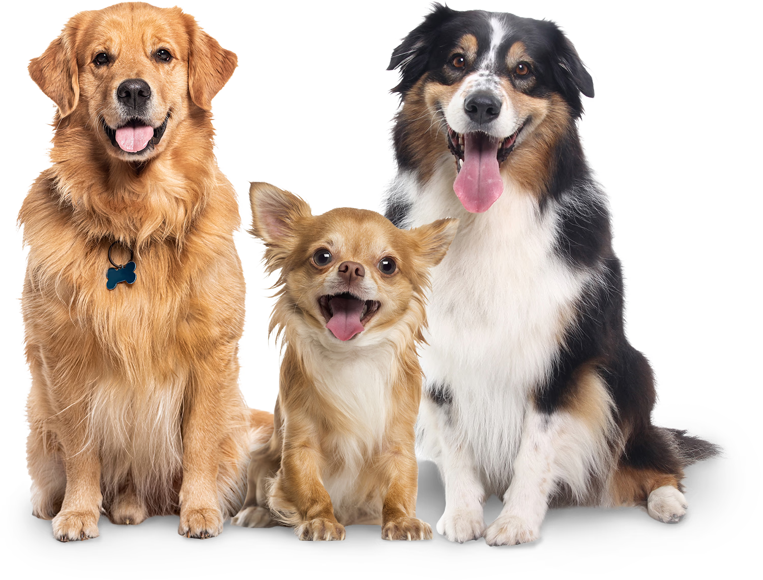 thebarkinglot.ae logo