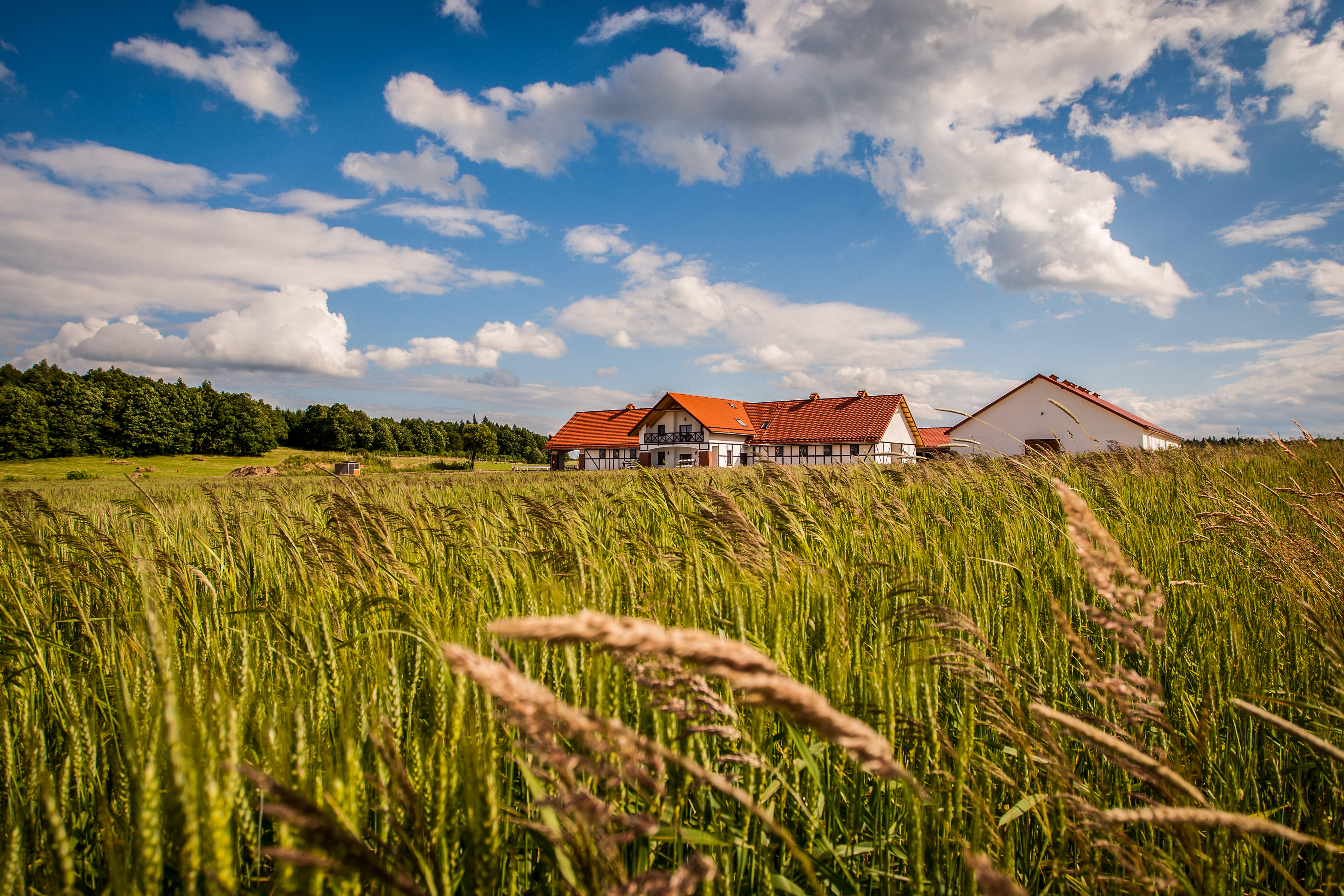 Storczykowe Wzgórze in Paszowice, Poland