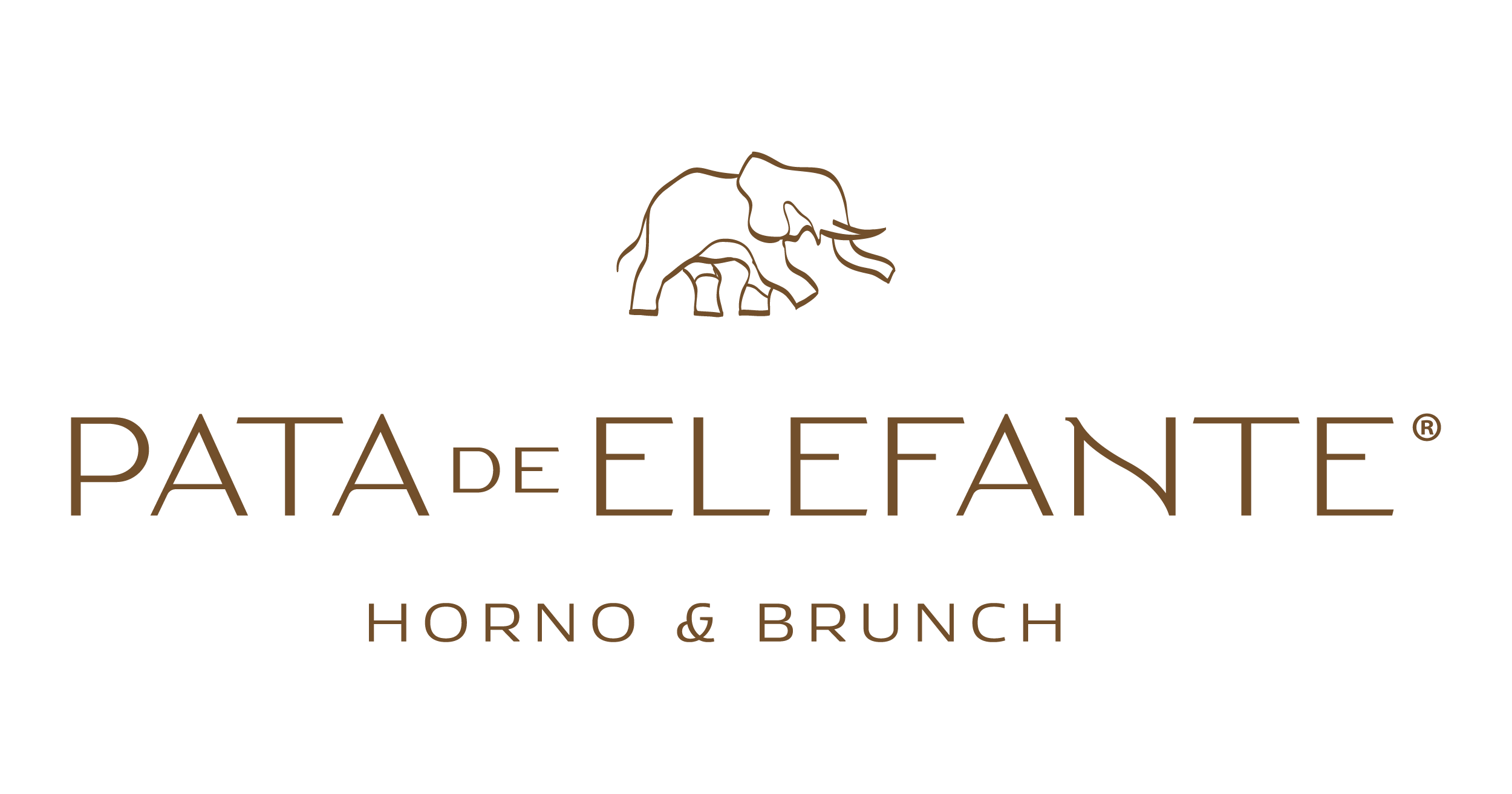 Pata De Elefante Chapalita