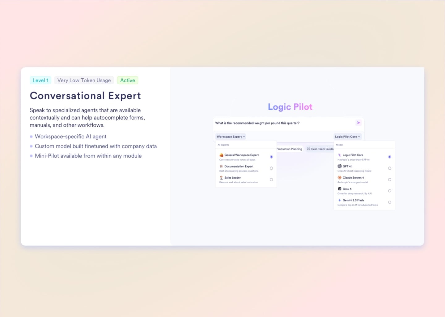 Level 1 - Conversational Expert