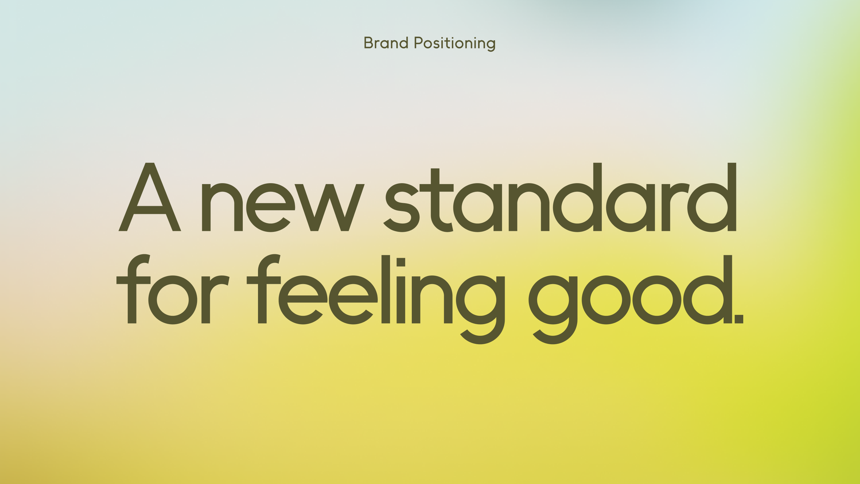 brand guidelines