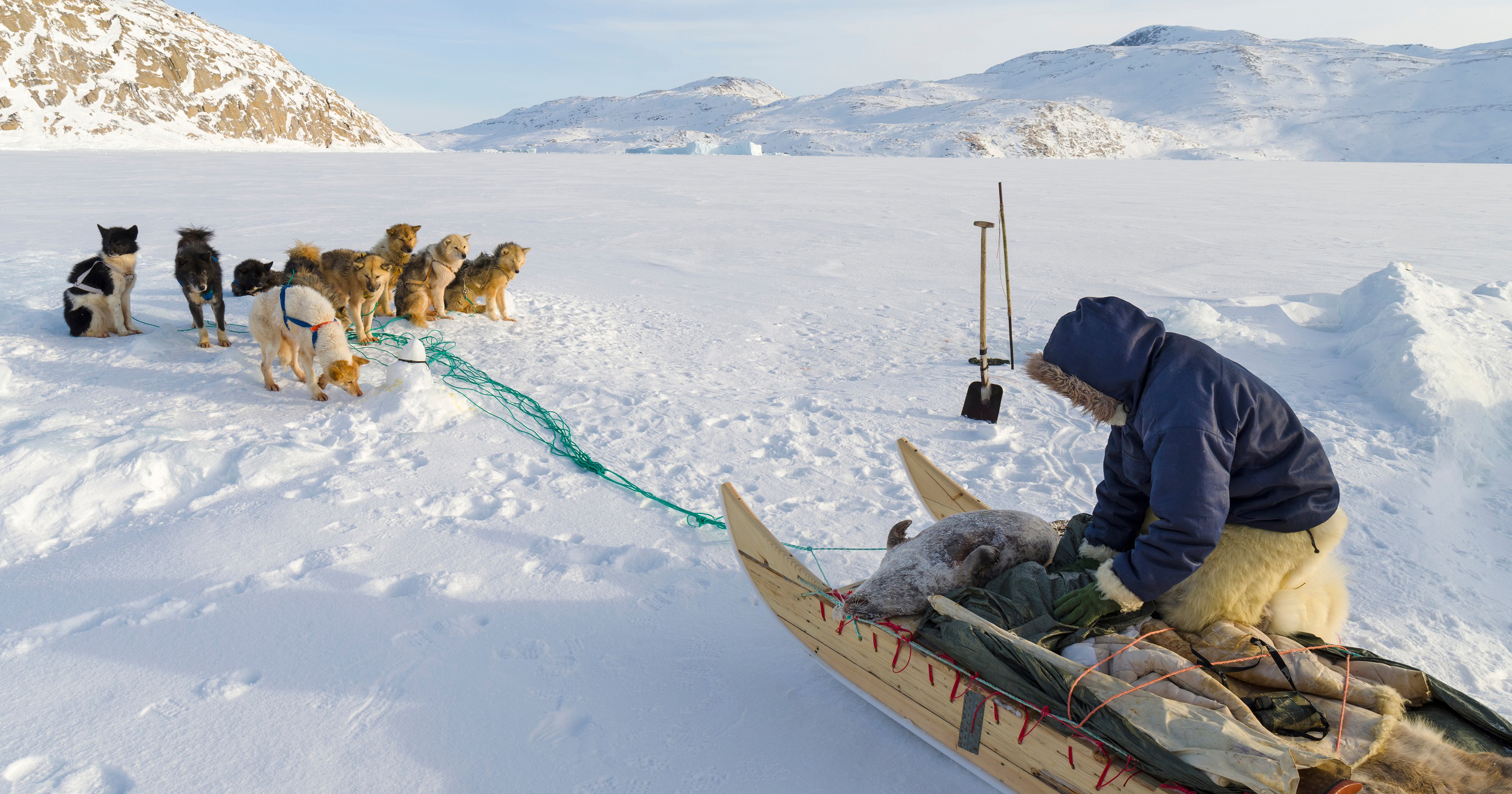 Native Alaskan Colhoff Alaska Native Study | nativve Research