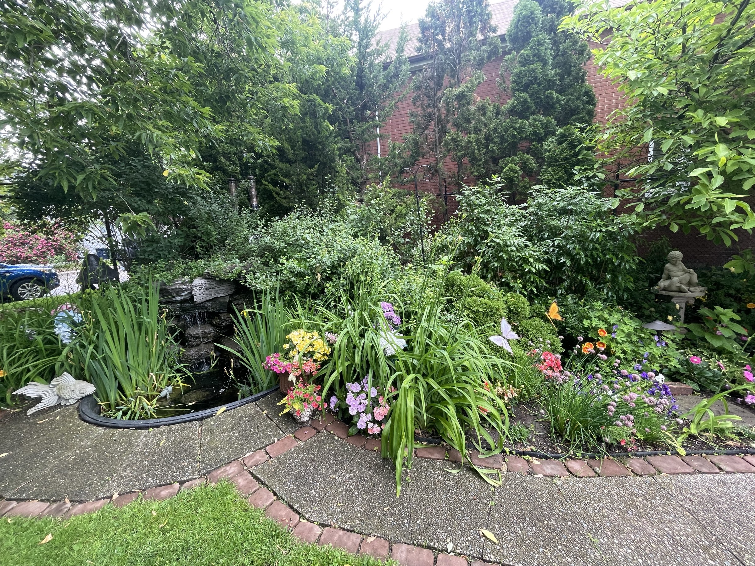 Image 46