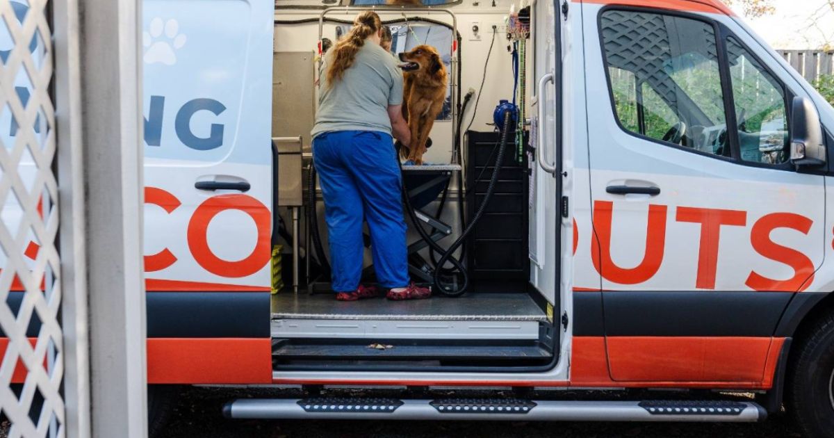 View of Luxury Mobile Dog Grooming | Pup Scouts In-Home Grooming Services